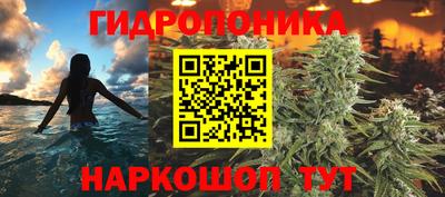 стаф Волжский