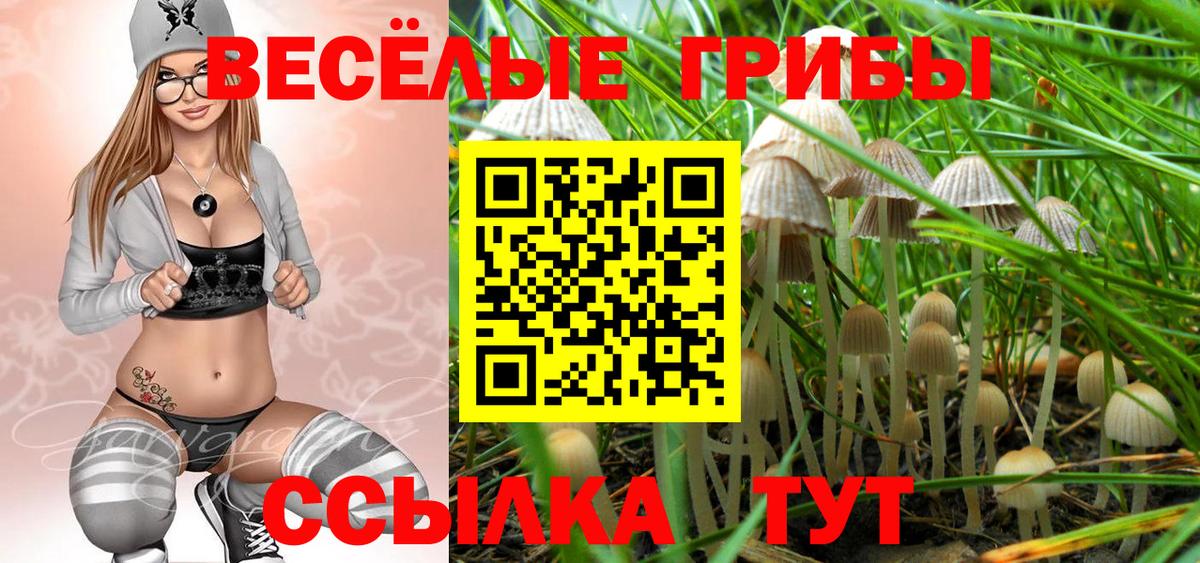 Пыть-Ях  Псилоцибиновые грибы мицелий  Псилоцибиновые грибы мицелий  Вход с VPN 